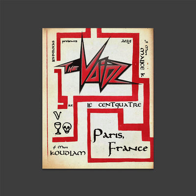 The Voidz Paris Les Inrocks Poster